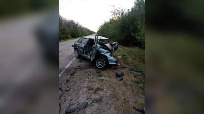 Один человек погиб и двое пострадали в жутком ДТП в Воронежской области - vestivrn.ru - Нижегородская обл. - Воронежская обл.