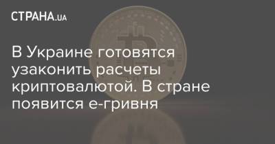 Александр Борняков - В Украине готовятся узаконить расчеты криптовалютой. В стране появится е-гривня - strana.ua - Украина