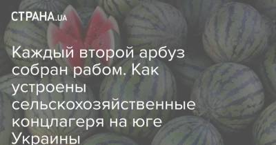 Каждый второй арбуз собран рабом. Как устроены сельскохозяйственные концлагеря на юге Украины - strana.ua - Украина - Запорожская обл. - Николаевская обл. - Херсон - Одесса - Херсонская обл. - с. Но