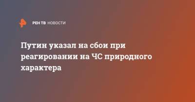 Владимир Путин - Путин указал на сбои при реагировании на ЧС природного характера - ren.tv - Россия