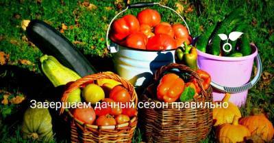 Завершаем дачный сезон правильно - skuke.net