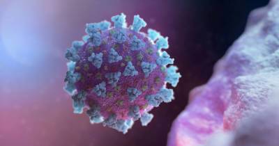 В России признали более 27 тысяч смертей от последствий коронавируса в июне - dsnews.ua - Россия - Украина