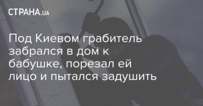 Под Киевом грабитель забрался в дом к бабушке, порезал ей лицо и пытался задушить - strana.ua - Украина - Киев - Киевская обл.