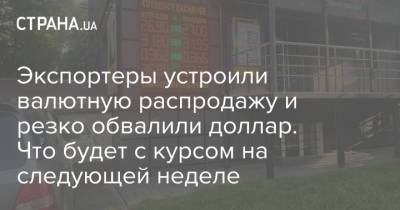 Экспортеры устроили валютную распродажу и резко обвалили доллар. Что будет с курсом на следующей неделе - strana.ua - США - Украина