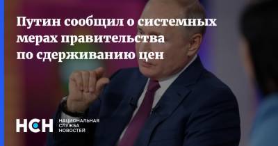 Владимир Путин - Путин сообщил о системных мерах правительства по сдерживанию цен - nsn.fm - Россия - Башкирия