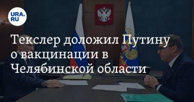 Владимир Путин - Алексей Текслер - Текслер доложил Путину о вакцинации в Челябинской области - ura.news - Россия - Челябинская обл. - Челябинск - Магнитогорск
