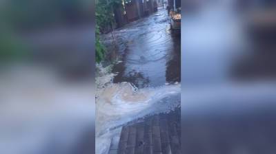 «Люди проваливались по колено». В Воронеже рынок утонул в странной жиже - vestivrn.ru - Воронеж