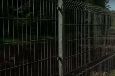 Мария Голубева - Латвия допустила введение режима ЧС на границе с Белоруссией - mk.ru - Белоруссия - Латвия