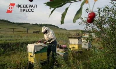 Владимир Путин - Путин рассказал, какой мед стоит попробовать всем россиянам - fedpress.ru - Россия - США - Башкирия - Уфа - Япония