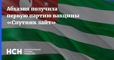 Аслан Бжания - Абхазия получила первую партию вакцины «Спутник лайт» - nsn.fm - Москва - Россия - Апсны