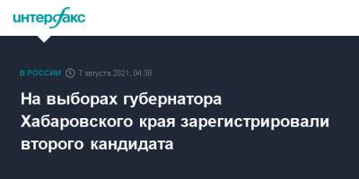 Михаил Дегтярев - Марина Ким - Владимир Парфенов - На выборах губернатора Хабаровского края зарегистрировали второго кандидата - interfax.ru - Москва - Россия - Хабаровский край