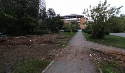 Борцы с погребами ломают деревья в сквере журналистов в Тюмени - nashgorod.ru - Тюмень
