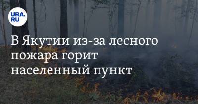 Айсен Николаев - В Якутии из-за лесного пожара горит населенный пункт - ura.news - респ. Саха