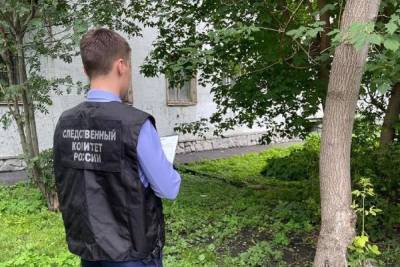 Возбуждено дело о попытке матери убить ребенка в Екатеринбурге - eburg.mk.ru - Россия - Екатеринбург - Свердловская обл. - Урал