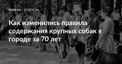 Как изменились правила содержания крупных собак в городе за 70 лет - mos.ru - Москва