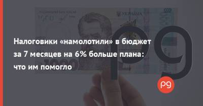 Налоговики «намолотили» в бюджет за 7 месяцев на 6% больше плана: что им помогло - thepage.ua - Украина