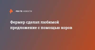 Фермер сделал любимой предложение с помощью коров - ren.tv - Англия - Великобритания