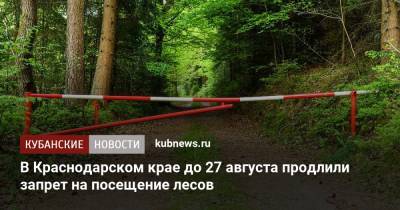 В Краснодарском крае до 27 августа продлили запрет на посещение лесов - kubnews.ru - Россия - Краснодарский край - Кубань