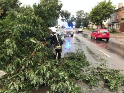 Повреждены крыши, подтоплены дома, повалены деревья. В ГСЧС рассказали о последствиях непогоды 6 августа - gordonua.com - Украина - Кировоградская обл. - Черкасская обл. - Одесская обл. - Полтавская обл.