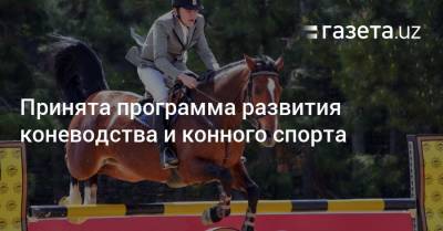 Принята программа развития коневодства и конного спорта - gazeta.uz - Узбекистан