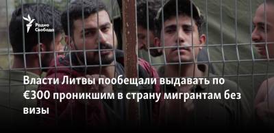 Эвелина Гудзинскайте - Власти Литвы пообещали выдавать по €300 проникшим в страну мигрантам без визы - svoboda.org - Литва