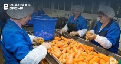 Эксперт: к прежним ценам на овощи в Татарстане мы не вернемся - realnoevremya.ru - респ. Татарстан