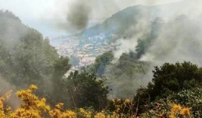 Фахреттин Коджа - Страшные кадры лесных пожаров в Греции появились в Сети - vm.ru - Турция - Греция