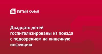 Двадцать детей госпитализированы из поезда с подозрением на кишечную инфекцию - 5-tv.ru - Краснодарский край - Мурманск - Адлер