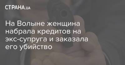 На Волыне женщина набрала кредитов на экс-супруга и заказала его убийство - strana.ua - США - Украина - Киев
