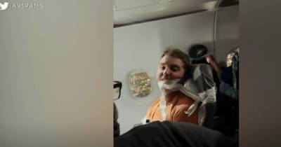 В США пьяного авиапассажира привязали к креслу и смеялись над мольбами о помощи (видео) - focus.ua - США - Украина