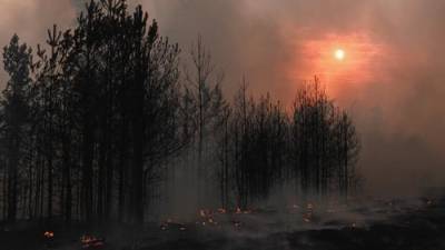 Число задымленных населенных пунктов в Иркутской области выросло до 417, сообщили в ГУ МЧС - argumenti.ru - Красноярский край - Иркутская обл. - респ. Саха - Экология