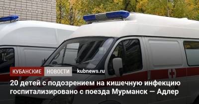 20 детей отравились в поезде Мурманск — Адлер. Они госпитализированы - kubnews.ru - Крым - Краснодарский край - Мурманск - Новороссийск - Адлер - Белореченск - Апшеронск