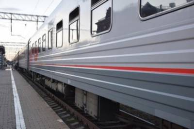 СК возбудил уголовное дело по факту отравления детей в поезде «Мурманск – Адлер» – Учительская газета - ug.ru - Россия - Мурманск - Адлер - Белореченск