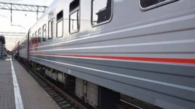 Дело возбудили по факту отравления детей в поезде Мурманск–Адлер - iz.ru - Россия - Израиль - Мурманск - Адлер