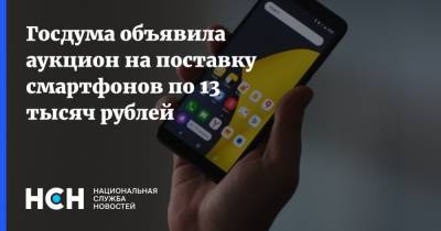Госдума объявила аукцион на поставку смартфонов по 13 тысяч рублей - nsn.fm