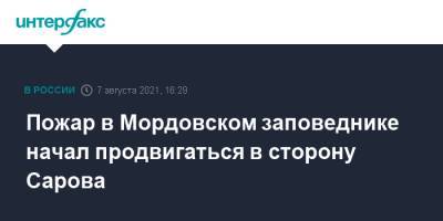 Пожар в Мордовском заповеднике начал продвигаться в сторону Сарова - interfax.ru - Москва - окр.Приволжский - республика Мордовия
