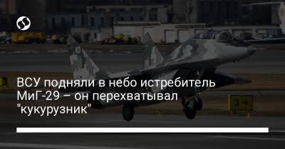 ВСУ подняли в небо истребитель МиГ-29 – он перехватывал "кукурузник" - liga.net - Украина - Румыния - Коломыя