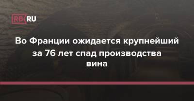 Во Франции - Во Франции ожидается крупнейший за 76 лет спад производства вина - rb.ru - Франция