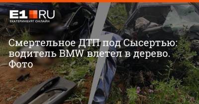 Смертельное ДТП под Сысертью: водитель BMW влетел в дерево. Фото - e1.ru - Екатеринбург