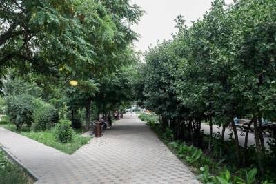 В селах и городах Волгоградской области благоустраивают парки и дворы - volg.mk.ru - Волгоград - Волгоградская обл. - Жирновск - Краснослободск