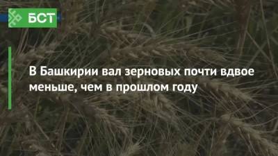 В Башкирии вал зерновых почти вдвое меньше, чем в прошлом году - bash.news - Башкирия