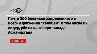 Почти 200 боевиков запрещенного в России движения «Талибан», в том числе их лидер, убиты на северо-западе Афганистана - echo.msk.ru - Россия - США - Афганистан