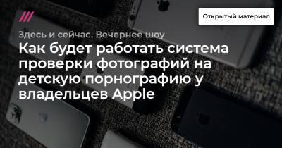 Как будет работать система проверки фотографий на детскую порнографию у владельцев Apple - tvrain.ru