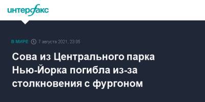 Сова из Центрального парка Нью-Йорка погибла из-за столкновения с фургоном - interfax.ru - Москва - США - New York - Нью-Йорк - Нью-Йорк