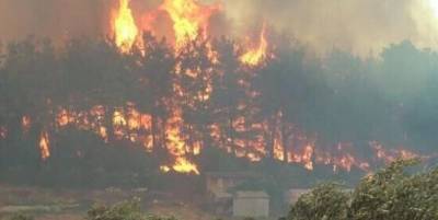 В Турции ливни помогли взять под контроль пожары в районе Антальи - w-n.com.ua - Украина - Италия - Турция - Греция - Анталья