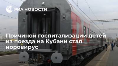 Анна Попова - В Роспотребнадзоре заявили, что детей из поезда Мурманск—Адлер госпитализировали из-за норовируса - ria.ru - Москва - Краснодарский край - Мурманск - Адлер