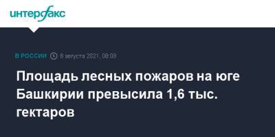 Площадь лесных пожаров на юге Башкирии превысила 1,6 тыс. гектаров - interfax.ru - Москва - Башкирия