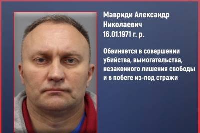 Беглого убийцу «мясного короля» ищут в Костромской области - kostroma.mk.ru - Московская обл. - Костромская обл.