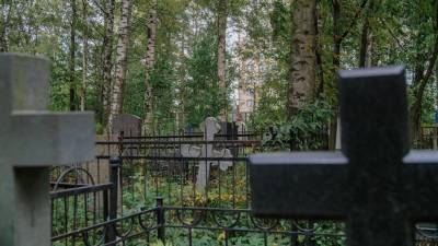 Власти Петербурга ищут "управляющего" для 42 городских кладбищ - dp.ru - Санкт-Петербург