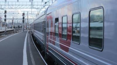 Анна Попова - В Роспотребнадзоре назвали причину отравления детей в поезде Мурманск — Адлер - govoritmoskva.ru - Россия - Мурманск - Адлер